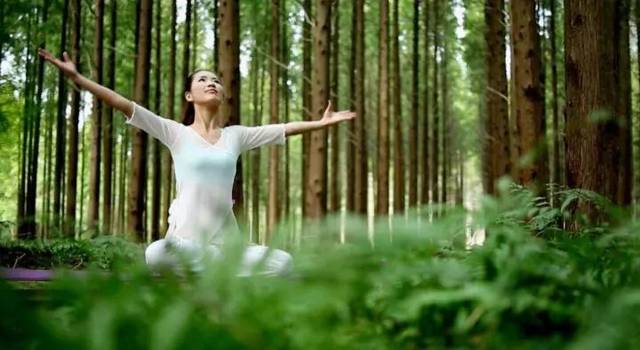 {賭波}(健康旅游的概念) {賭波}(健康旅游的概念)