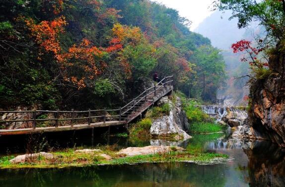 {賭馬}(现在哪里旅游好玩)